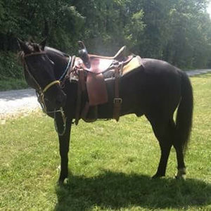 Meet your Posher, Jacky